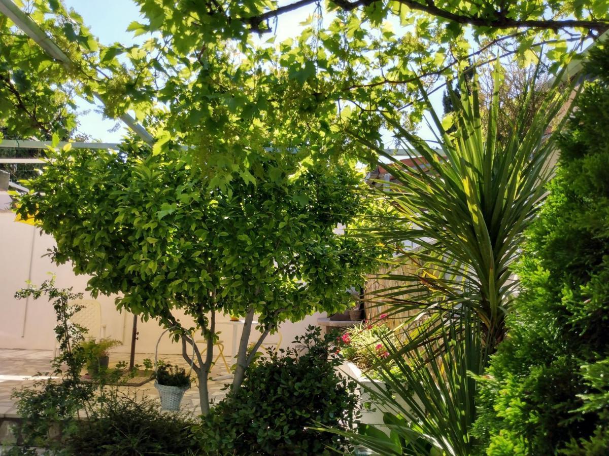 Apartment Grande Vista - Lovely With Spacious Lush Mediterranean Patio And Sea View *